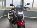 Honda CBF 500 CBF 500 PARI AL NUOVO Rouge - thumbnail 4