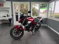 Honda CBF 500 CBF 500 PARI AL NUOVO Rouge - thumbnail 3