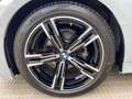 BMW Z3 M 318d sDrive Touring150cv Sport Gris - thumbnail 28