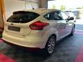 Ford Focus Titanium Blanc - thumbnail 5