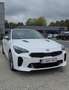 Kia Stinger 2.0 T-GDI OPF GT Line - thumbnail 1