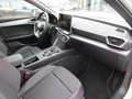 SEAT Leon Leon FR 1.5 eTSI DSG *NAVI*SHZ*PDC*ACC* Blanc - thumbnail 12
