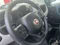 Fiat Panda Cross 1.0 FireFly S&S Hybrid Gris - thumbnail 10