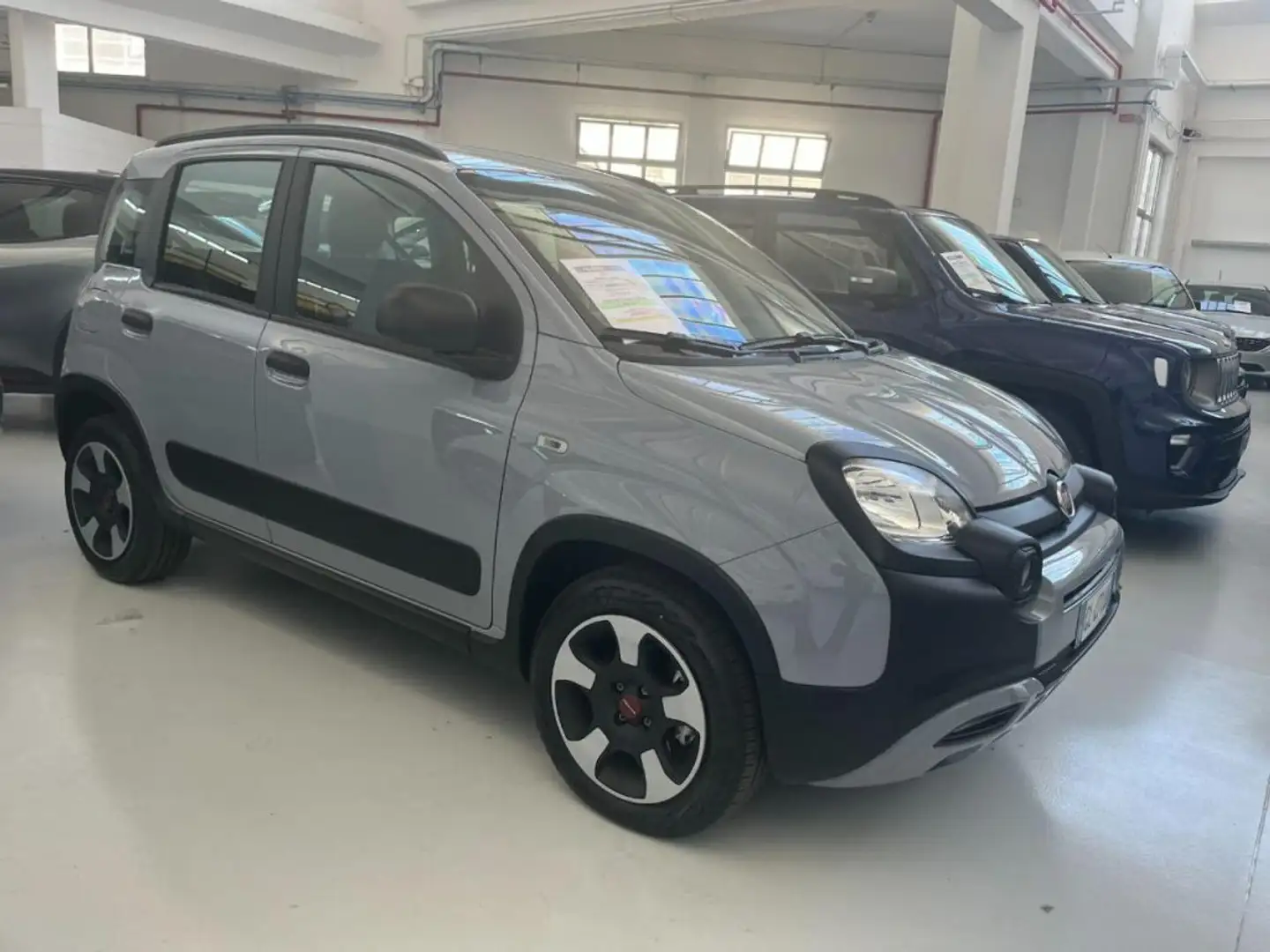 Fiat Panda Cross 1.0 FireFly S&S Hybrid Gris - 2