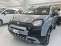 Fiat Panda Cross 1.0 FireFly S&S Hybrid Gris - thumbnail 13