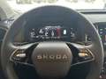 Skoda Karoq 2,0 TDI 4x4 DSG Selection Grau - thumbnail 8