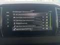 Skoda Karoq 2,0 TDI 4x4 DSG Selection Grau - thumbnail 14