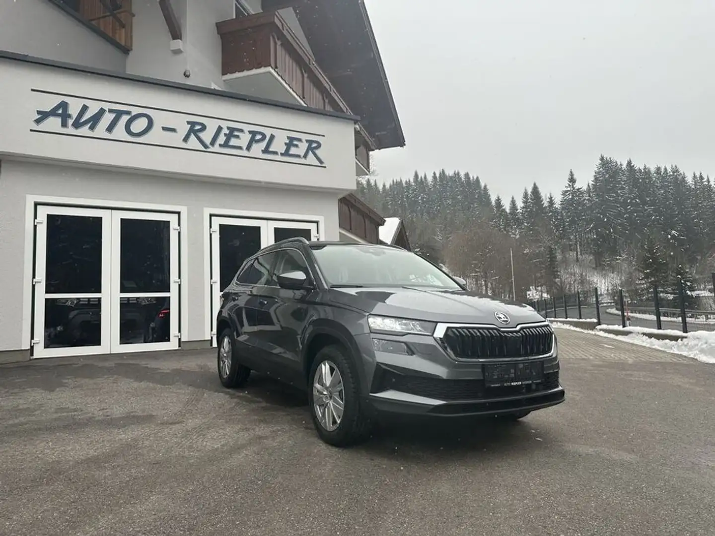 Skoda Karoq 2,0 TDI 4x4 DSG Selection Grau - 2