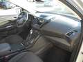 Ford Kuga 2.0 TDCi 4x4 Aut. Titanium - Xenon, AHK, Navi, TW Silber - thumbnail 5