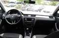 Skoda Rapid/Spaceback Spaceback Joy Grau - thumbnail 9