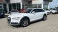 Audi A6 allroad 3.0 TDI 218 CV S tronic Business Plus **PANO** Weiß - thumbnail 6