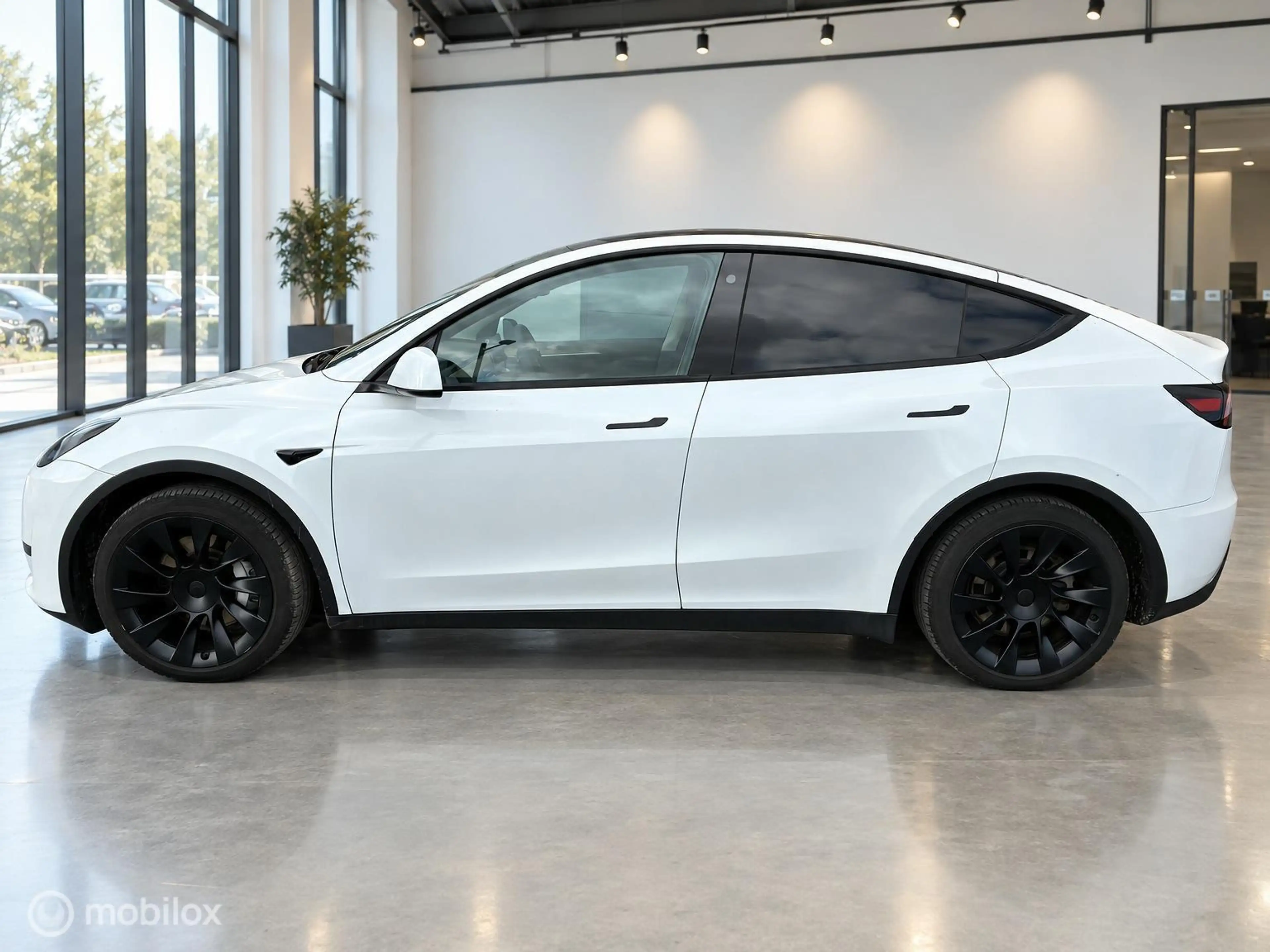 Tesla Model Y RWD 58 kWh | TREKHAAK | WARMTEPOMP | LFP | AMD RYZ — photo 4