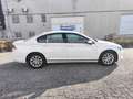 Volkswagen Passat 1.6TDI Business DSG7 Blanco - thumbnail 8