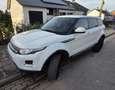 Rover Rover Range Rover Evoque - thumbnail 7