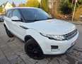 Rover Rover Range Rover Evoque - thumbnail 8