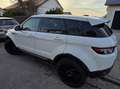 Rover Rover Range Rover Evoque - thumbnail 6