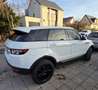 Rover Rover Range Rover Evoque - thumbnail 9