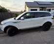 Rover Rover Range Rover Evoque - thumbnail 10