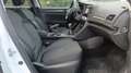 Renault Megane 1.5 dCi 115 Evolution Estate Blanc - thumbnail 27