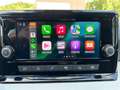 SEAT Arona 1.0 TSI Style DSG RFK|17"|ACC|LED Grau - thumbnail 10