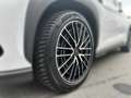 BYD Sealion 7 Excellence AWD MY2025 Weiß - thumbnail 5