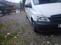 Mercedes-Benz Vito Vito 116 CDI BlueEfficiency lang Aut. Weiß - thumbnail 8
