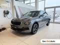 Skoda Kamiq Selection TSI DSG Grau - thumbnail 1