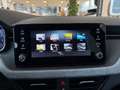 Skoda Kamiq Selection TSI DSG Grau - thumbnail 10