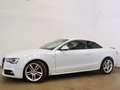 Audi A5 3.0 TDI qu. 2xS-Line *ACC Kamera Magnetic* Blanc - thumbnail 2