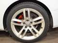 Audi A5 3.0 TDI qu. 2xS-Line *ACC Kamera Magnetic* Blanc - thumbnail 20