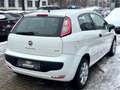 Fiat Punto Evo Punto EVO,Klima,Alu,TÜV NEU,TOP Zustand White - thumbnail 8