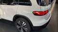 Mercedes-Benz GLB 180 d Sport Plus auto Alb - thumbnail 5