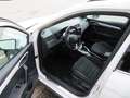 SEAT Arona 1,6 TDI Xcellence DSG AHV Sitzhzg Klimaaut Blanc - thumbnail 8