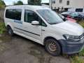 Volkswagen Caddy Maxi Trendline BMT Bianco - thumbnail 1