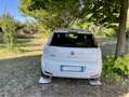 Fiat Punto 5p 1.4 natural power Lounge 70cv E6 - thumbnail 4