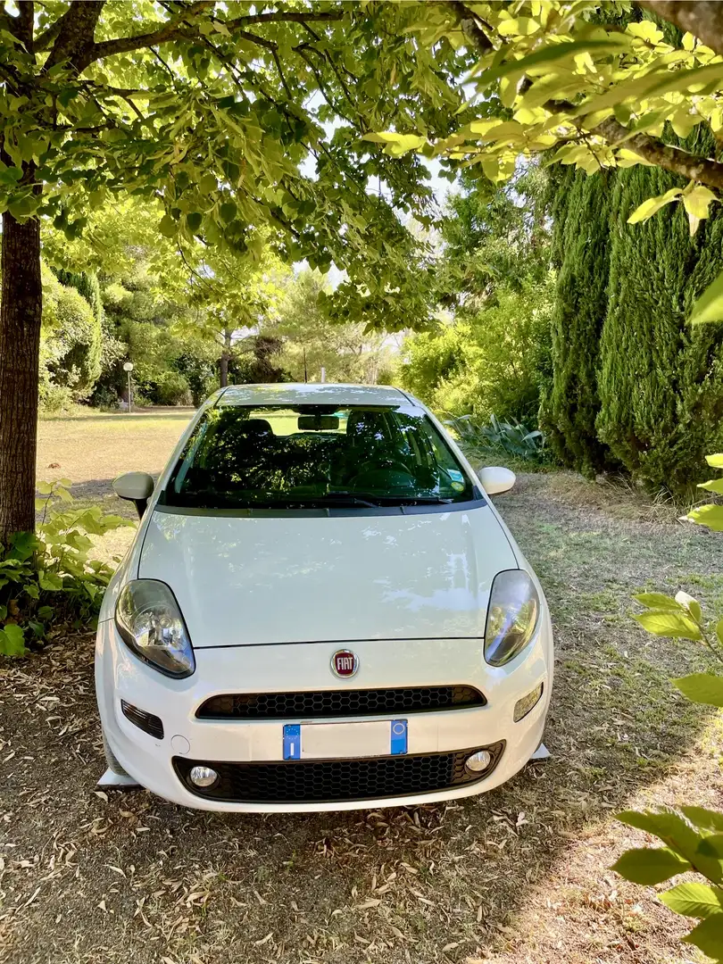 Fiat Punto 5p 1.4 natural power Lounge 70cv E6 - 2