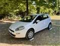 Fiat Punto 5p 1.4 natural power Lounge 70cv E6 - thumbnail 3