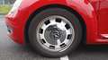 Volkswagen Coccinelle 1.2 TSI 105.0 Vintage Rouge - thumbnail 18