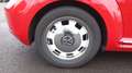 Volkswagen Coccinelle 1.2 TSI 105.0 Vintage Rouge - thumbnail 16