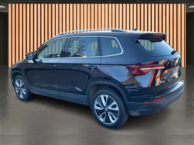 Skoda Karoq view 4