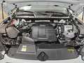 Audi Q5 35TDI basis ACC AHK BUSINESS NAVI VIRTUAL COCKP... Weiß - thumbnail 25