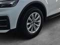 Audi Q5 35TDI basis ACC AHK BUSINESS NAVI VIRTUAL COCKP... Weiß - thumbnail 4