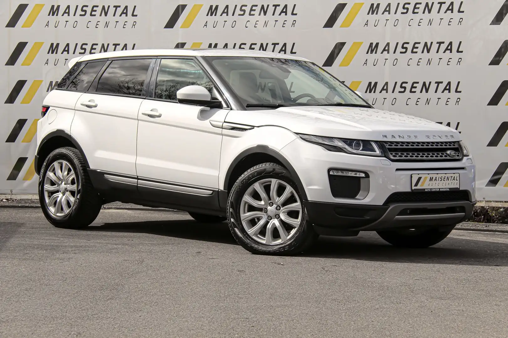 Land Rover Range Rover Evoque SE|Navi|Allrad|Pano|R.Kamera Weiß - 1