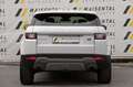Land Rover Range Rover Evoque SE|Navi|Allrad|Pano|R.Kamera Weiß - thumbnail 5