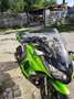 Kawasaki Z1000 SX Green - thumbnail 2