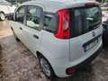 Fiat Panda 1.3 MJT 95 CV S&S Easy Bianco - thumbnail 4