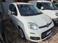 Fiat Panda 1.3 MJT 95 CV S&S Easy Bianco - thumbnail 2