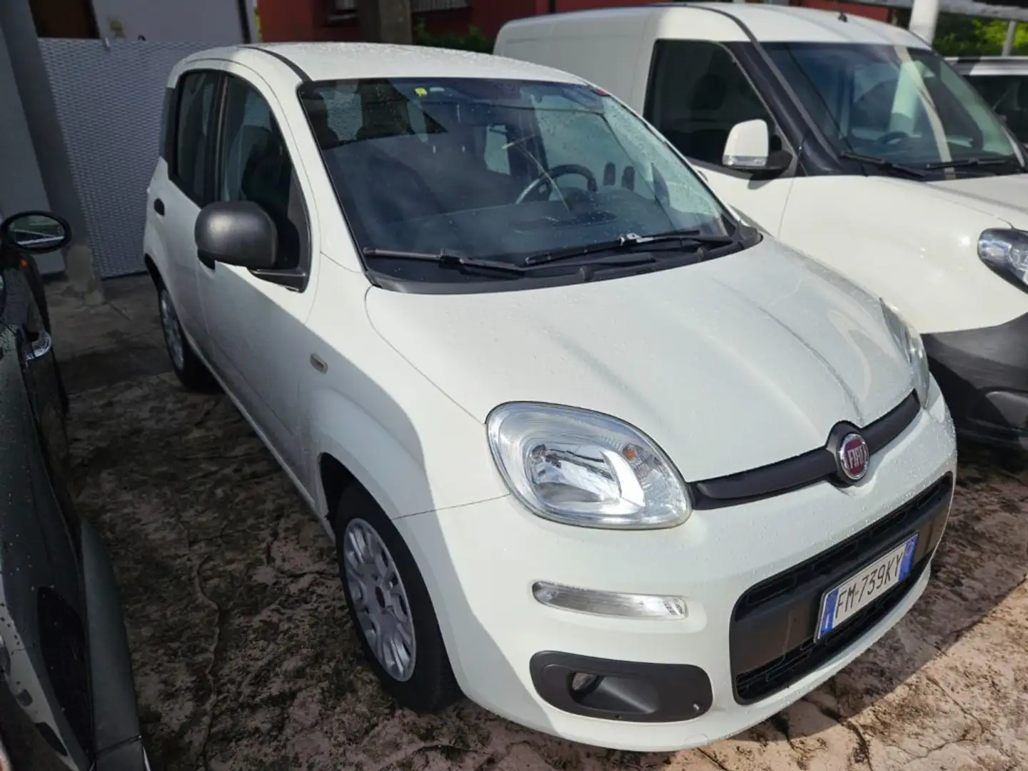 Fiat Panda 1.3 MJT 95 CV S&S Easy Bianco - 2
