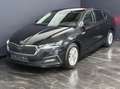 Skoda Octavia 2,0 TDI Ambition Schwarz - thumbnail 6