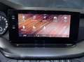Skoda Octavia 2,0 TDI Ambition Schwarz - thumbnail 33
